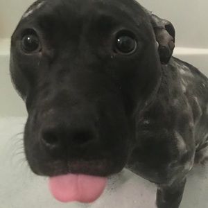 Meet your Posher, Erik